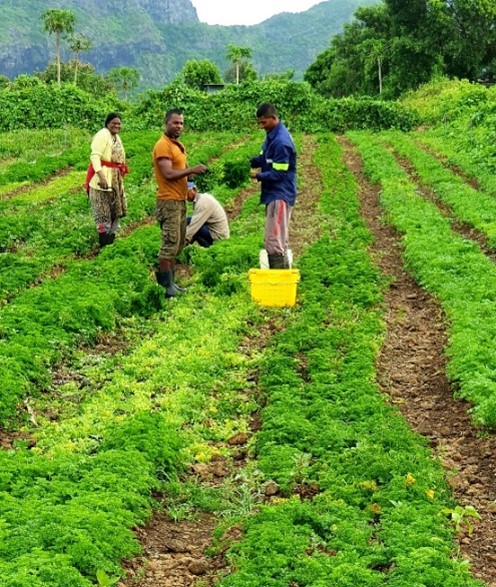 Farmers-of-Cressoniere